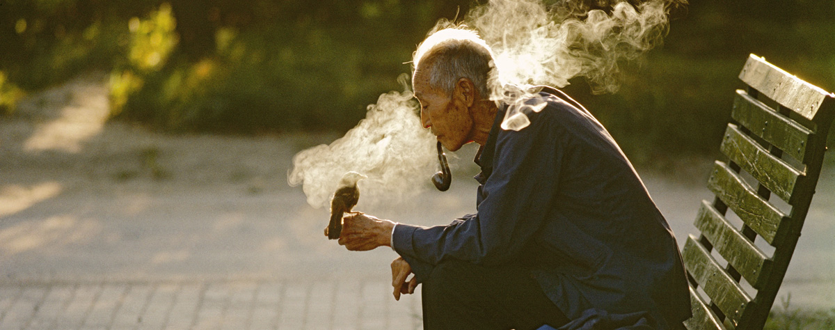 Old man with his pet bird in Ritan Park. Beijing. CHINA. 1984 © Thomas Hoepker / Magnum Photos Old man with his pet bird in Ritan Park. Beijing. CHINA. 1984 © Thomas Hoepker / Magnum Photos